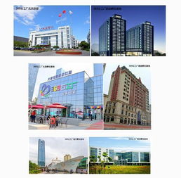 大唐網(wǎng)絡(luò)369云工廠運(yùn)營公司成立，實(shí)業(yè)運(yùn)營與建設(shè)雙輪驅(qū)動(dòng)區(qū)域孵化基地全面升級